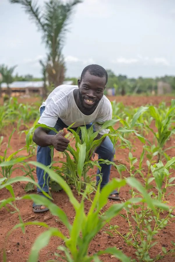Portrait d'un producteur dans son champ, avec sa récolte